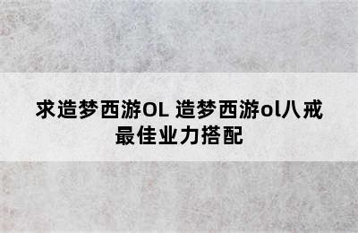 求造梦西游OL 造梦西游ol八戒最佳业力搭配